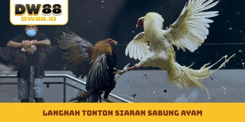 Langkah tonton siaran sabung ayam