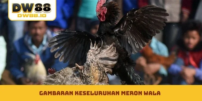 Gambaran keseluruhan Meron Wala