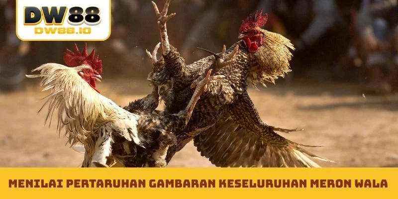 Menilai pertaruhan gambaran keseluruhan Meron Wala