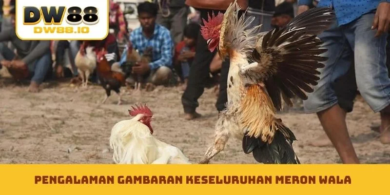 Pengalaman gambaran keseluruhan Meron Wala
