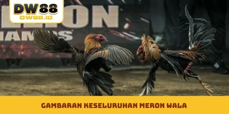 Gambaran Keseluruhan Meron Wala