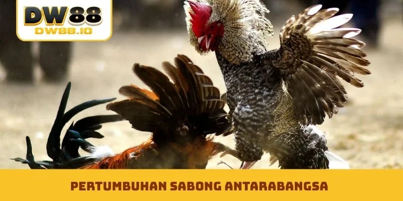 Pertumbuhan Sabong Antarabangsa
