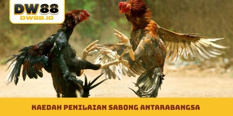 Kaedah penilaian Sabong Antarabangsa